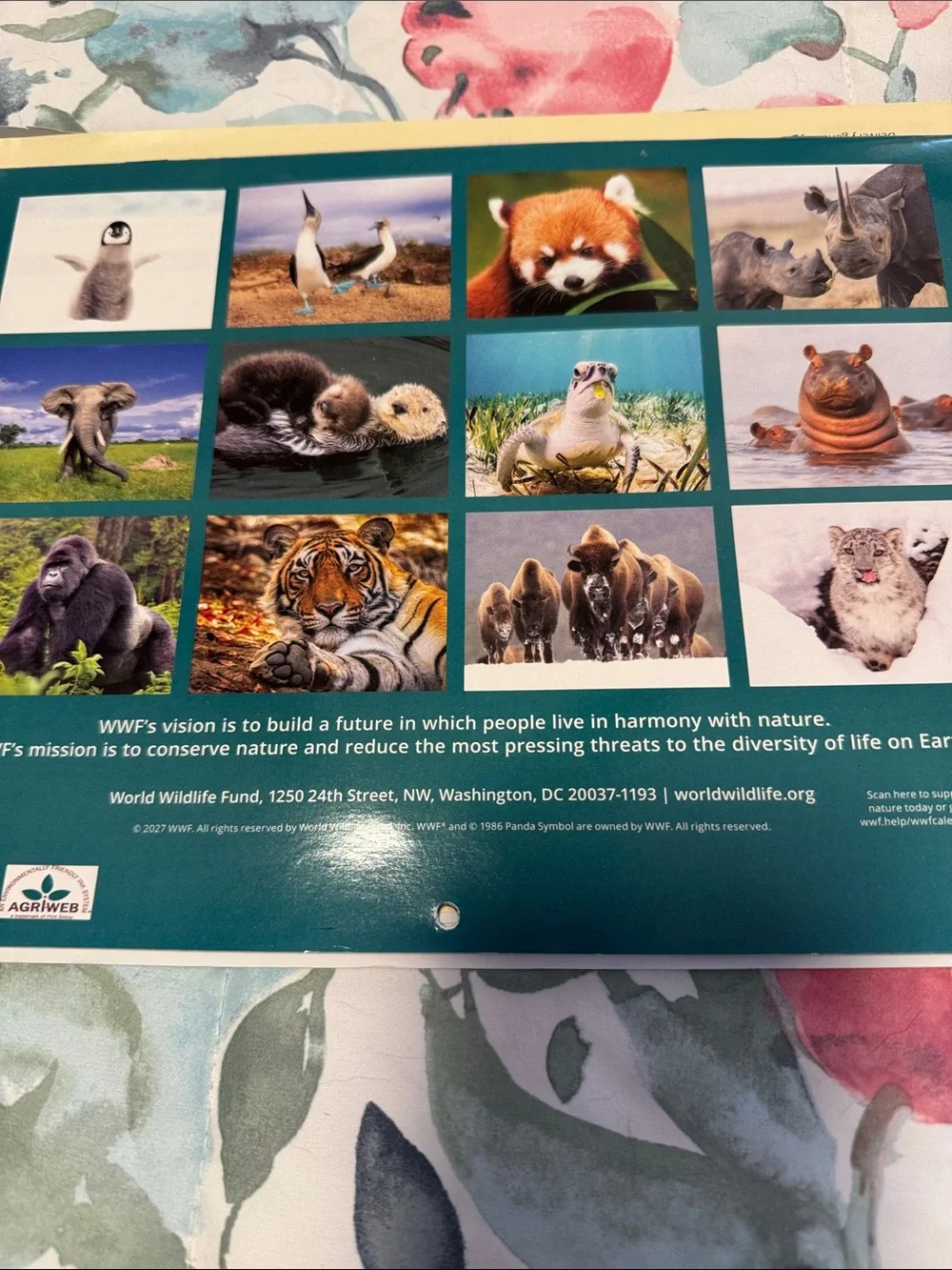16 month Calendar.  2027